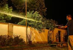 Batı Nil virüsü İtalya’yı sardı! 141 vaka, 6 ölüm