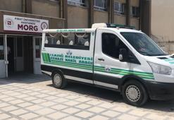 Elazığ’da ağılda dehşet! Kurt sandı, tüfeğini ateşledi: Eşini öldürdü