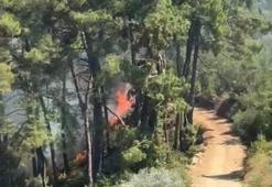 Muğla Fethiye'de orman yangını çıktı