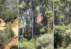 Muğla Fethiye'de orman yangını çıktı