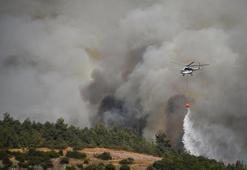 Balıkesir'de korkutan yangın! Kamyondaki yangın ormana sıçradı