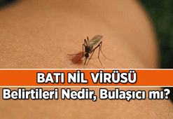 SALGIN HABERLERİ: Batı Nil Virüsü Nedir? Bulaşma Yolları, Belirtileri ve Korunma Yöntemleri