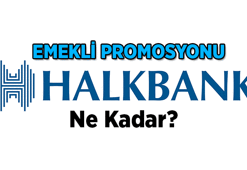 HALKBANK'IN EMEKLİ PROMOSYONU 2026 AĞUSTOS GÜNCEL TABLO! Halkbank emeklilere 3 yıllık taahhüte kaç TL promosyon veriyor?