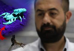 Elazığ'da kuruldu, 5 bin akrep tek bir amaç için yetiştiriliyor!