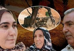 300 yıllık gelenek bozulunca felaket başlıyor: Köyün başına bir haller geldi
