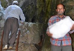 Toros Dağları'nda 50 metre derinlikte saklıyorlar! Sırrını anlattılar