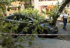 Nişantaşı’nda çınar ağacı taksinin üzerine devrildi! Teşvikiye Caddesi trafiğe kapandı