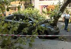 Nişantaşı’nda çınar ağacı taksinin üzerine devrildi