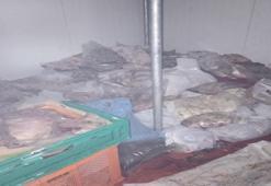 Bodrum’da kötü koku ekipleri harekete geçirdi! 400 kilo bozuk ete el konuldu
