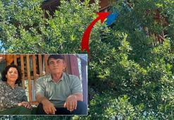 150 yıllık meşe ağacının üzerinde sıra dışı sığınak: Bir daire fiyatına mal oldu