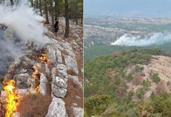 Mersin'de korkutan orman yangını! Yıldırım düşen bölge alevlere teslim oldu