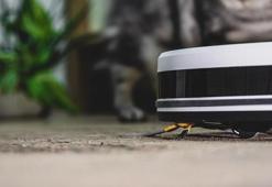 Aldatıldığını robot süpürgeden öğrendi! Yaptığı hamle sonradan başına bela oldu