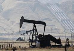Bakanlık Erzincan'daki sahalarda petrol arama ruhsatı verdi
