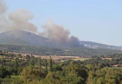 Çanakkale'de orman yangını! Havadan ve karadan müdahale ediliyor