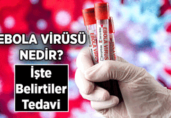 DÜNYA SAĞLIK ÖRGÜTÜ UYARDI 💥 Ebola salgını nedir, nerede var? Ebola virüsü belirtileri nelerdir, bulaşıcı mı, nasıl bulaşır?