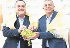 Üzümün bereketi şenlikle taçlanıyor