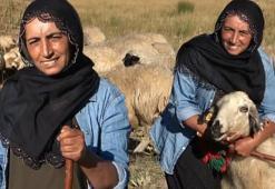 2 çocuk annesi yaylada çobanlık yapıyor! Şimdi tek bir hayalin peşinde