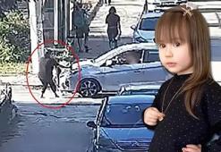 Minik Mavi'nin hayatını kaybettiği kazanın görüntüleri ortaya çıktı