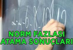 NORM FAZLASI ATAMA SONUÇLARI SORGULAMA EKRANI MEBBİS | MEB İhtiyaç ve Norm Kadro Fazlası Atama Sonuçları Açıklandı!