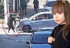 Minik Elif Mavi’nin ölümünde yeni gelişme! Sürücü yeniden gözaltında