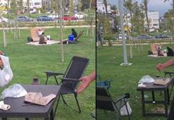 Yer: Hatay! Sahilde çekirdek çitledi, yediği ceza şoke etti