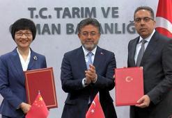 Türkiye ile Çin arasında defne ihracatı protokolü