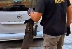 Balıkesir’de 109 bin adet sentetik ecza hapı ele geçirildi