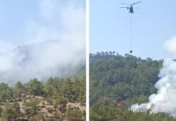 Son dakika... Adana Kozan’da orman yangını