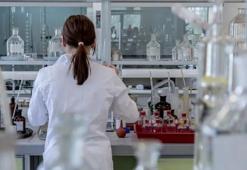 H5N1’de dikkat çeken gelişme! Avustralya’da ilk kez bir deniz aslanında tespit edildi
