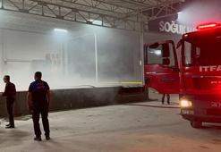 Bursa İznik'te soğuk hava deposunda yangın