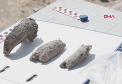 66 milyon yıllık fosil Anadolu Medeniyetleri Müzesi'nde sergilenecek