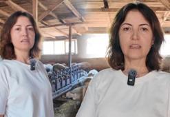Görülmemiş miras! Çocukları için öyle bir plan yaptı ki… ‘Bu işi gençlerimize şiddetle öneriyorum’