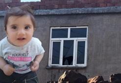 11 aylık Büşra bebeğin Diyarbakır'daki evi görüntülendi... Camların kırık olması dikkat çekti