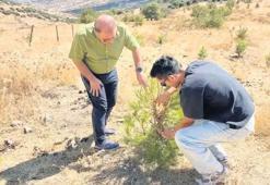 Kuraklığa karşı su hasadı tekniği