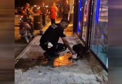 Hatay'da sokak köpeğini av tüfeğiyle yaralayan şüpheli gözaltına alındı