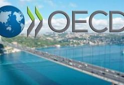 OECD raporu açıklandı! Öğretmen açığı olmayan iki ülkeden biriyiz