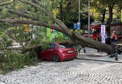 Şişli Harbiye’de korkutan anlar! Şiddetli rüzgar ağacı otomobilin üzerine devirdi