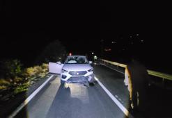 Tunceli-Erzincan kara yolunda aniden yola fırladı! Cipin çarptığı ayı öldü