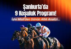 Şanlıurfa’da 9 Koşuluk Program! İşte Misli’den Günün Altılı Analizi…