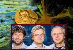 Göldeki algden beynin 'ışık düğmesi'ne! Nobel'i getiren devrim: 'Hücresel seviyede kontrol mümkün'