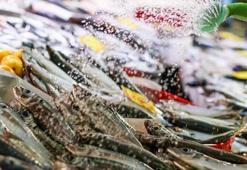 Türkiye'nin su ürünleri ihracatı 1,8 milyar dolara ulaştı