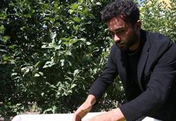 Üniversite mezunu genç, babasının elma bahçesini 3 yılda 730 dönüm büyüttü