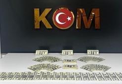 Bodrum'da 46 bin 200 sahte ABD doları ele geçirildi, 1 tutuklama