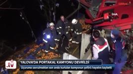 Yalova'da portakal kamyonu devrildi