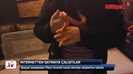 Piton ticareti sanal devriye ekiplerine takıldı