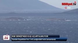 Kardak Kayalıkları'nın 1 mil uzağındaki kule tamamlandı