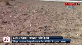 Likya kum zambağını koparanlara 48 bin lira para cezası