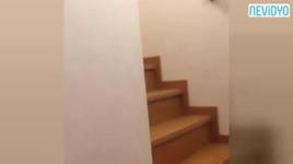 Tom ve Jerry gerçek oldu