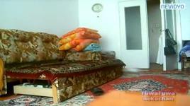 Kediyi çileden çıkardı