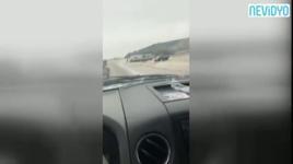 Facia yaşanacakken şova dönüştü
